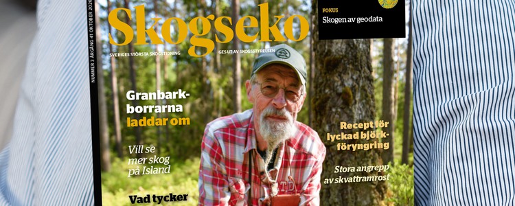 Omslag till Skogseko nummer 3-2026. Foto: InaPlavans