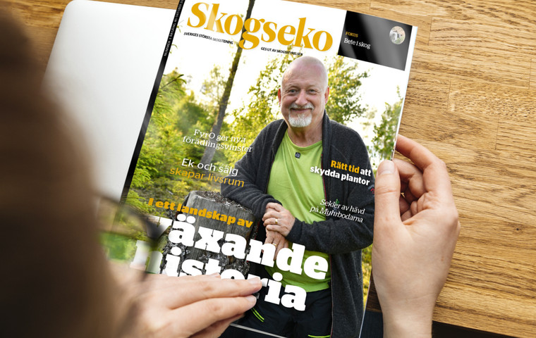 Händer som bläddrar i tidningen Skogeseko nummer 3.