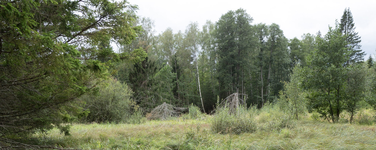 Ryssängen, en utdikad våtmark vid Emån i Kalmar län. Foto: Tomas Järnetun