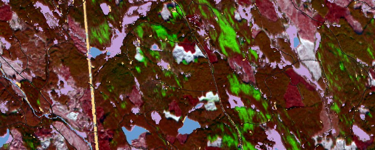 Skador efter stormen Johannes 2026, kartlager i Skogliga grunddata