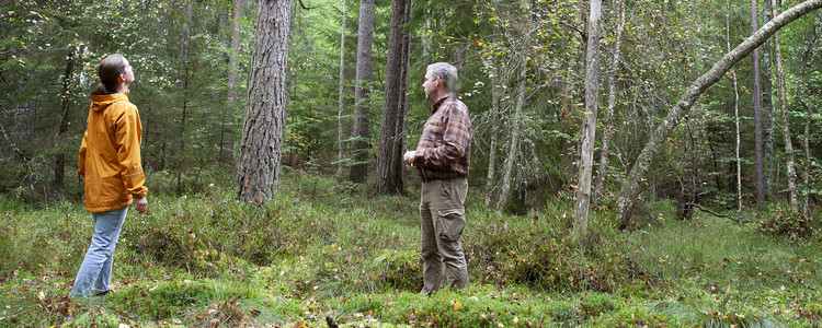 En kvinna och en man står i en blöt skogsglänta.  Foto: @ Camilla Zilo