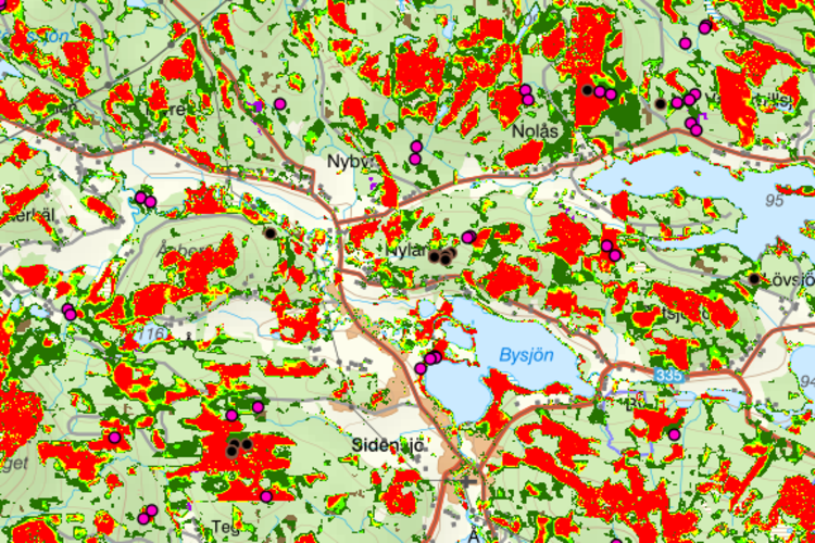 Den nya kartan Dvis indikerar var det kan finnas natur- och kulturvärden i skogen.