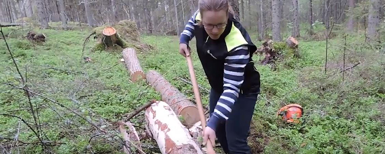 Barkning med barkspade. Foto: Tedenborg Martina    Kommunikationsenheten