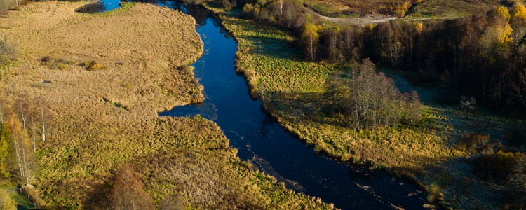 Vy över ån Viskan. Foto: MostPhotos