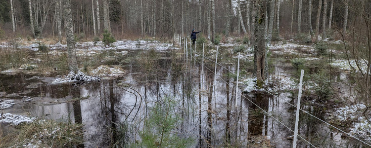 Några veckor efter att diken pluggats igen i Linnehagskärret, Ire, Blekinge. Foto: Jonatan Wollmér