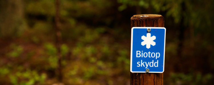 Biotopskydd. Foto: R Magnusson,  prio-1@telia.com