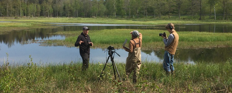 Filming in progress at a wetland. Foto: Therese Stenholm Asp