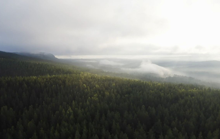 vy över skog