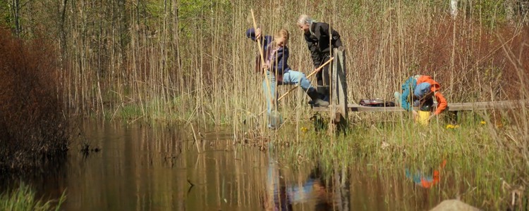 Tre barn i mellanstadieåldern håvar i ett stilla vattendrag. Foto: AHA Produktion