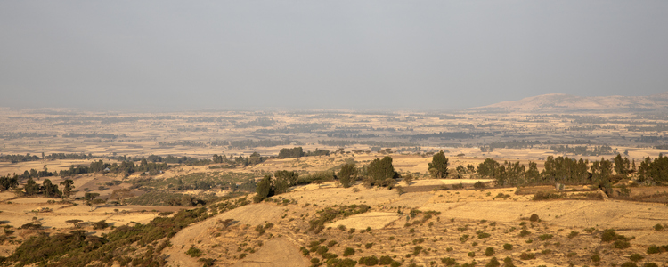 Dry landscape, Ethiopia. Foto: @ Camilla Zilo