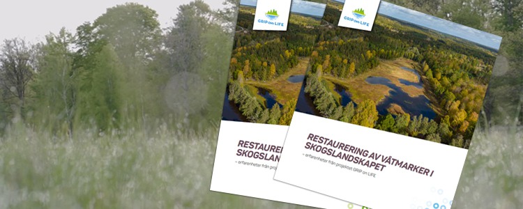 Cover image of the brochure “Restoration of Wetlands in Forest Landscapes – Experiences from the Grip on Life Project.” A wetland is visible in the background.