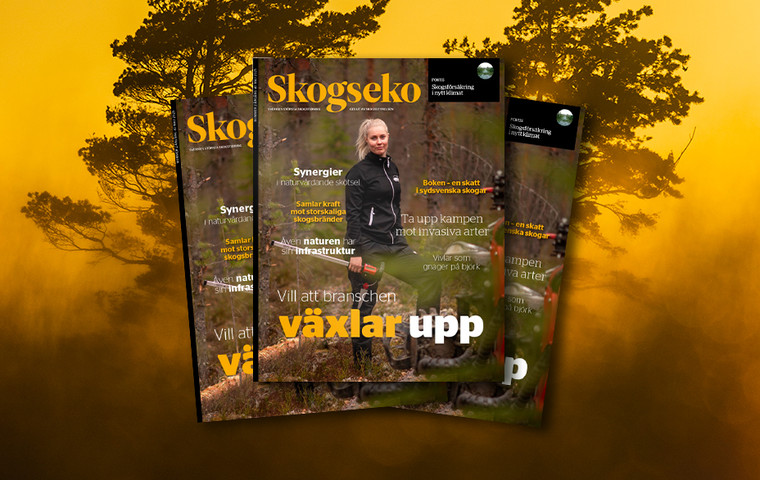 Omslagsbild på Skogseko mot bakgrund av brinnande skog.