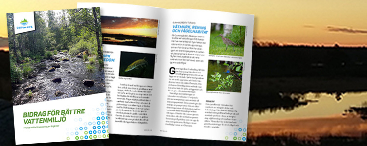Bild av broschyren Bidrag för bättre vattenmiljö