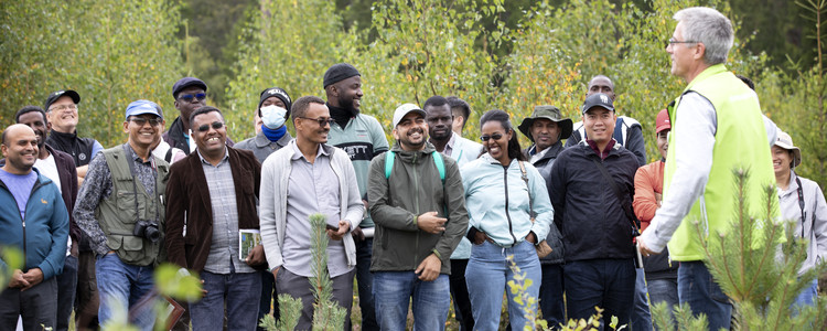 Group of people in the Swedish forest. Foto: @ Camilla Zilo