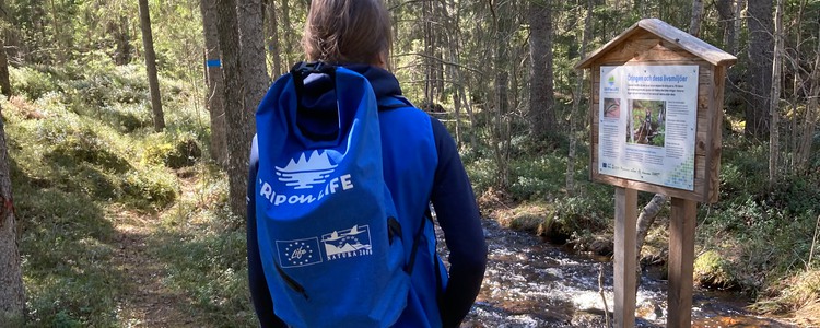 Kvinna med blå Grip on Life-ryggsäck går på en stig och stannar till vid en skylt i skogen. Foto: Maria Larsson