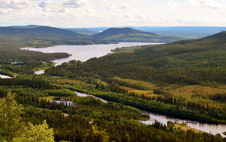 Vacker utsikt över gransluttningar och vatten i Norra Västerbotten. Foto: Hans Gustavsson