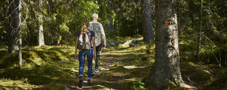 En man och en kvinna går på en skogsstig. Foto: Patrik Svedberg
