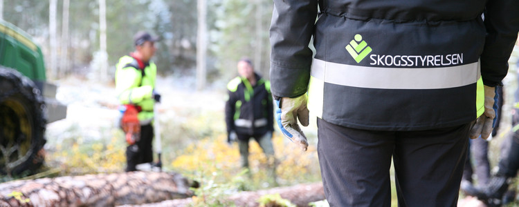 Skogskonsulent i samtal med utförare  vid skogsmaskin.  Foto: Camilla Zilo