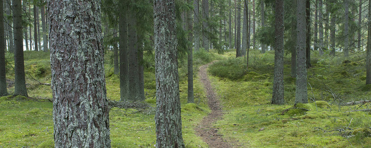 Sörmland. Foto: Michael Ekstrand