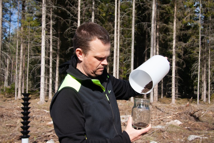 Man utför tömning av granbarkborrefälla. Foto: Mattias Sparf