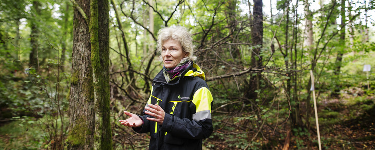En leende skogskonsulent berättar om lövskogen som syns bakom och runt henne. Foto: Jenny Leyman