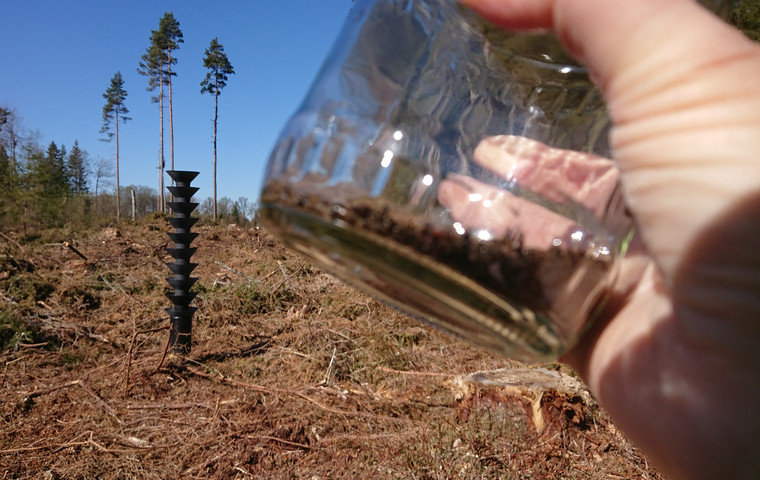 Granbarkborrefälla och fångst i burk. Foto: Anna Cederholm