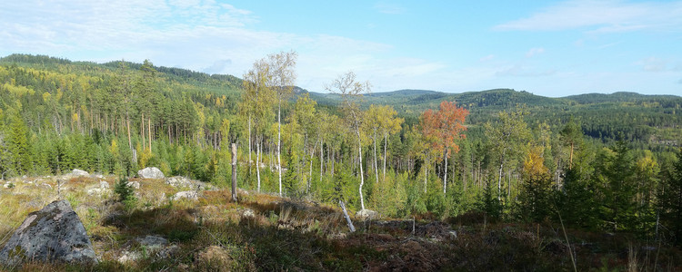 Södra Dalarna.