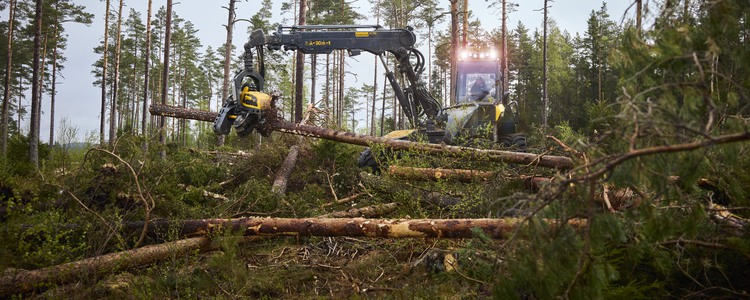 Skördare som upparbetar stormfälld skog i Bondstorp, Vaggeryd. Foto: Martin Hèrma/En Produktionsbyrå