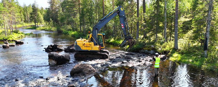 Restaurering av vattendrag där en gul grävmaskin flyttar sten och grus i vattendraget. Foto: Länsstyrelsen Västerbotten/Grip on Life