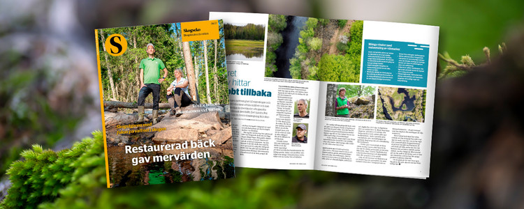 Omslag och ett uppslag från tidningen Skogseko Del 2