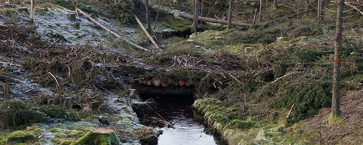 Risad passage över bäck.