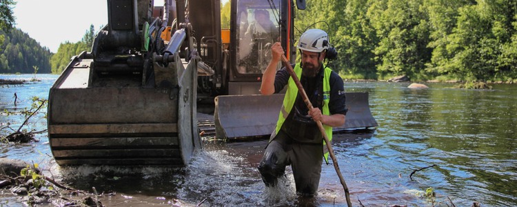 En grävmaskin står i ett större vattendrag. Restaureringsarbete pågår. I förgrunden, strax framför grävmaskinen, står en man i varselväst och vit hjälm. Mannen guidar maskinföraren. Foto: Linnéa Rådahl, Länsstyrelsen Västerbotten