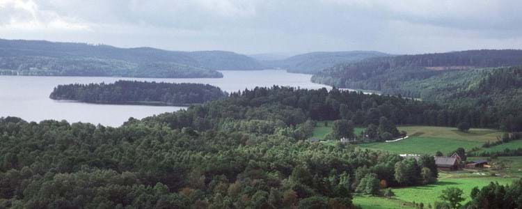 Landskap med stor sjö omgiven an skog.