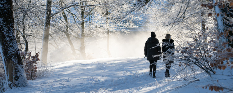 Par som promenerar i vinterskog. Foto: Mostphotos