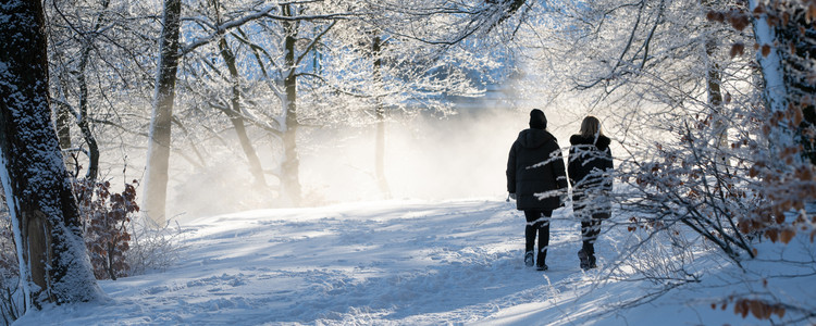 Par som promenerar i vinterskog. Foto: Mostphotos