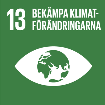 Globalt mål nummer 13 – Bekämpa klimatförändringarna.