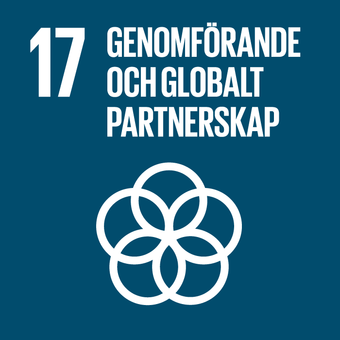 Globalt mål nummer 17 – Genomförande och globalt partnerskap