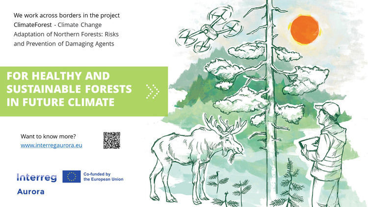 Illustration för projektet climate forest