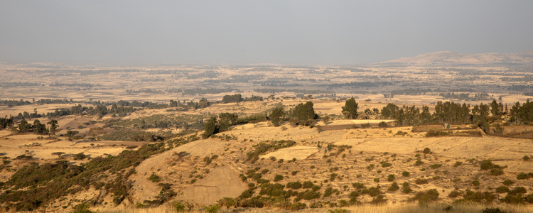 Dry landscape, Ethiopia. Foto: @ Camilla Zilo