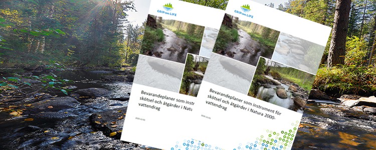 Bild på framsidan av rapporten "Bevarandeplaner som instrument för skötsel och åtgärder i Natura 2000-vattendrag"