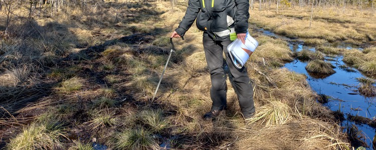 En person står i en våtmark med ett knippe papper i ena handen. Foto: Maria Larsson