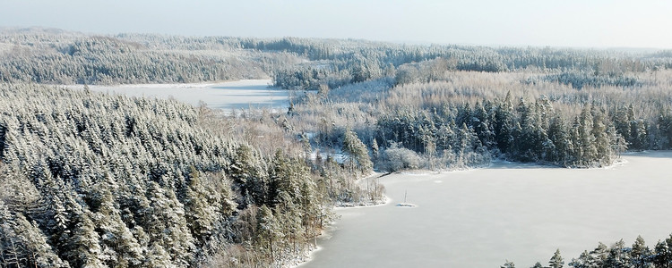 Drönarbild över halländsk skog vintertid. Foto: Jessica Bengtsson