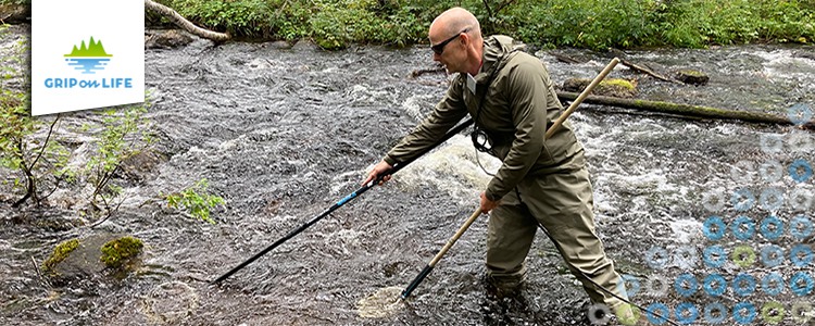 Electrofishing is being carried out in a stream. Foto: Maria Larsson