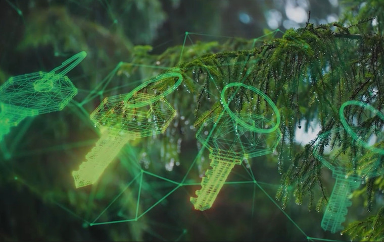 Grankvist och nycklar