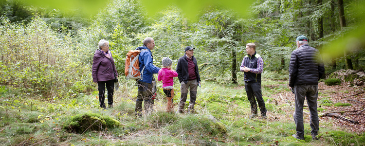 En skogskonsulent berättar om området för en grupp människor under en ädellövsskogsdag. Foto: Jenny Leyman