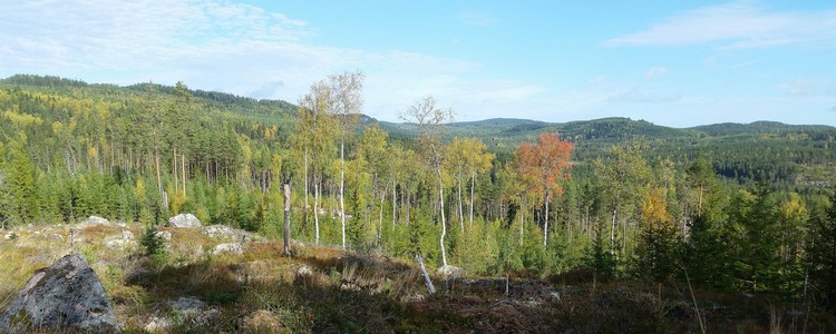Naturbild över fjäll och skog från södra Dalarna.
