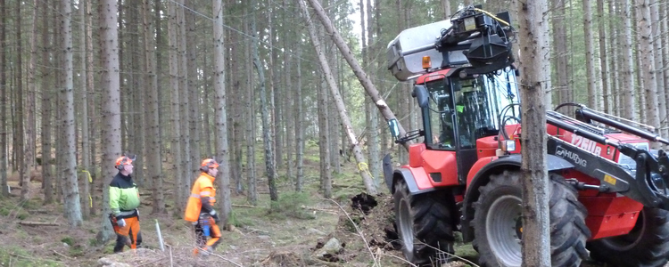 Två människor och en maskin i skogen. Foto: Niklas Peil