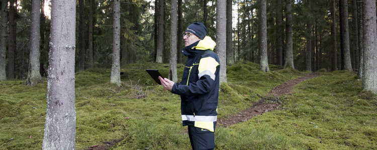 En person står i skogen med en platta i handen. Han bär kläder med Skogsstyrelsens logotyp. Foto: Michael Ekstrand