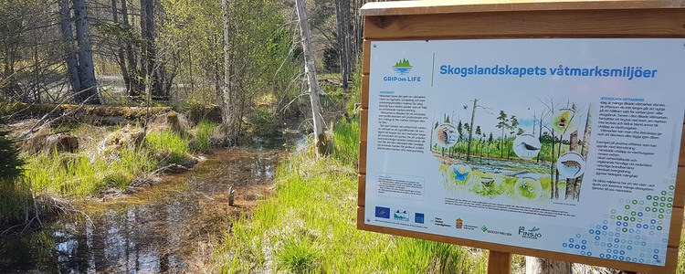 En informationsskylt om skogslandskapets våtmarker på demomstrationsområdet Sandvadsbäcken-Emån utanför Kalmar. Foto: Martin Hederskog