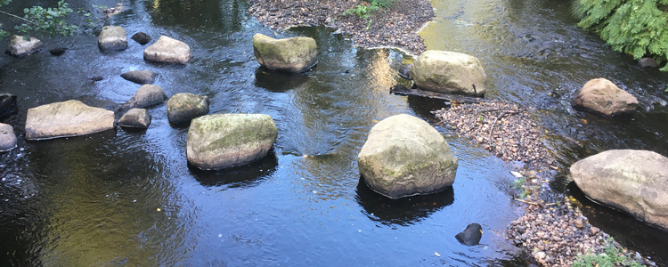 Ett vattendrag med grus och stenar som bromsar upp vattnets farmfart. Foto: Therese Stenholm Asp